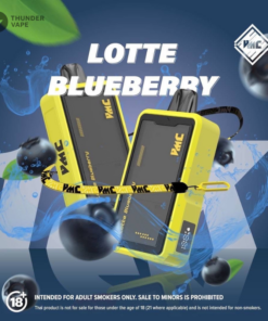 VMC-12k-LotteBlueberry
